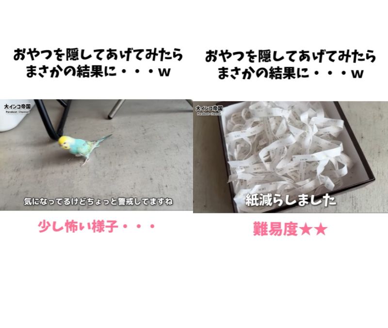 出所：＠daiinkoteikoku_soraoto