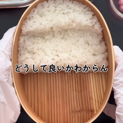 彩りが綺麗でセンス抜群！品数豊富で美しく詰めた【焼き魚のお弁当】にコメント欄には「パーフェクト」の声