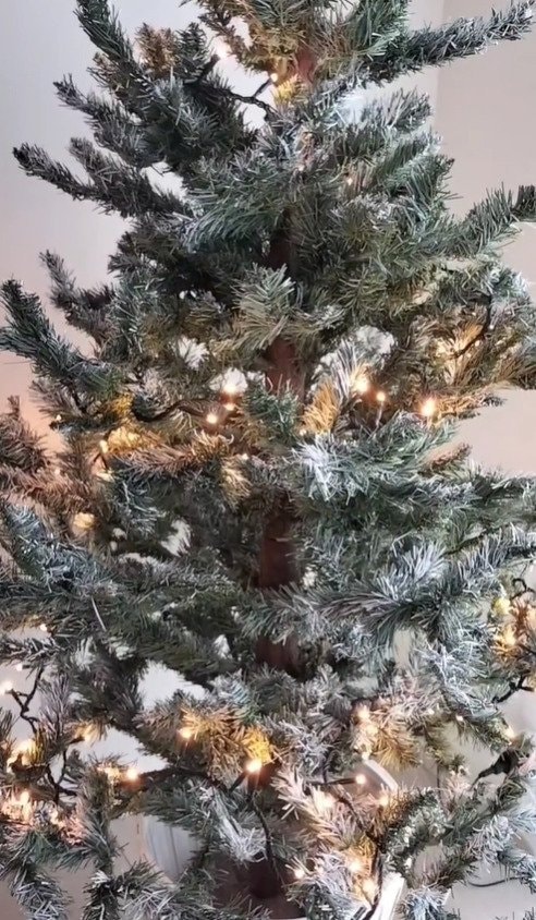 出所：@simpzy_life