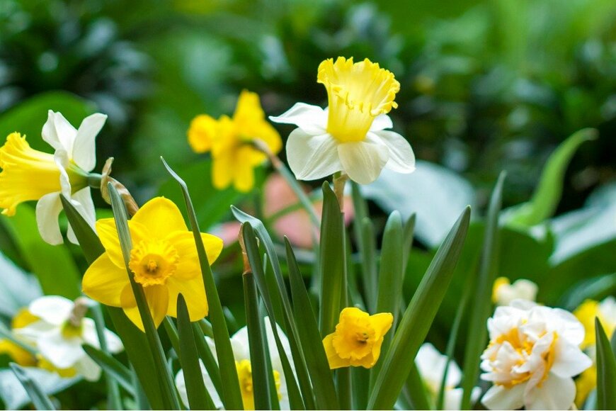 Alina Lebed/istockphoto.com