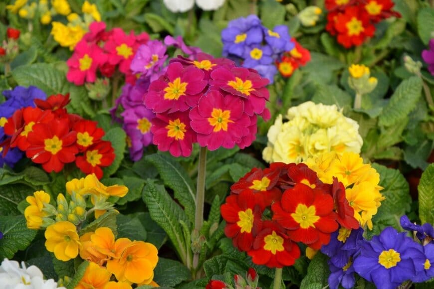 Sonjushka/shutterstock.com