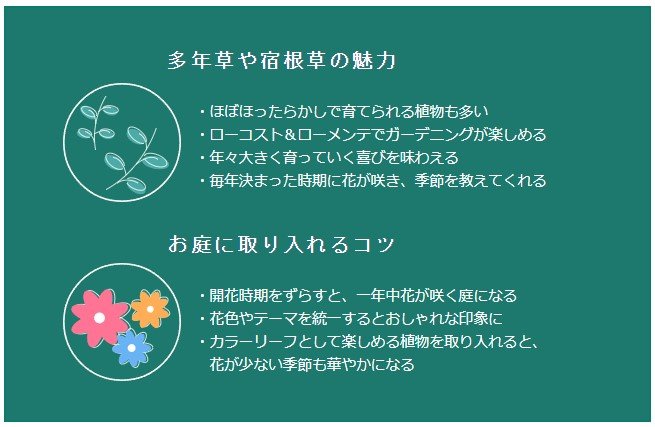 【ガーデニング豆知識】多年草や宿根草の魅力とは?