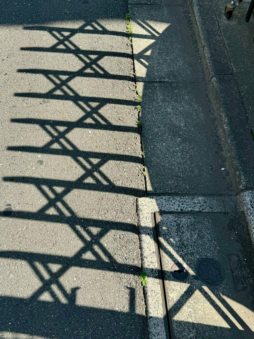 道路に映し出された「X」の影