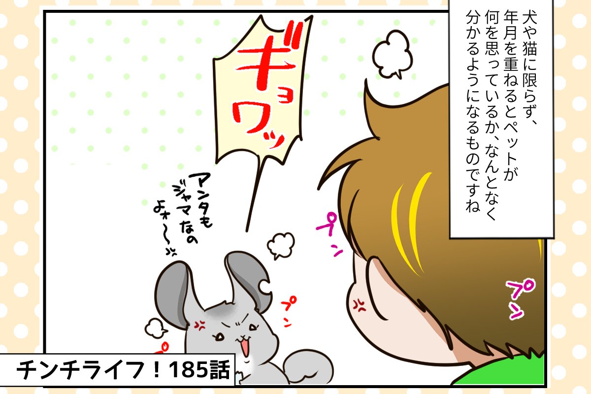 ちみ様 ご相談ページ 初めてのコミティア！記念すべき150回40周年！！ 設営完了しま