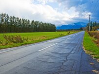  北海道帯広市の近郊をドライブしていたら…「道路にあった予想外の落とし物」がSNSで話題に