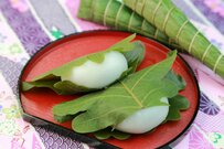 【6月支給分から増額】年金額がわかる「年金振込通知書」はいつ頃届く？月20万円以上の年金が支給される人の割合もチェック！