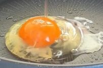 【弁当にもおつまみにも】妻が夫に作る「ヤンニョム風ウインナー弁当」　10分で完成する一品がおいしそう…