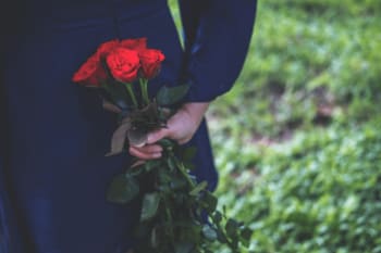 写真 花言葉がエモい あの人に贈りたいオシャレな花 最強6選 Limo くらしとお金の経済メディア