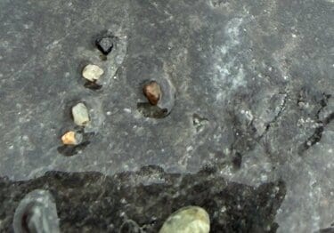 新潟県の海岸で発見した「謎の石」を思わず二度見！まさかの正体に