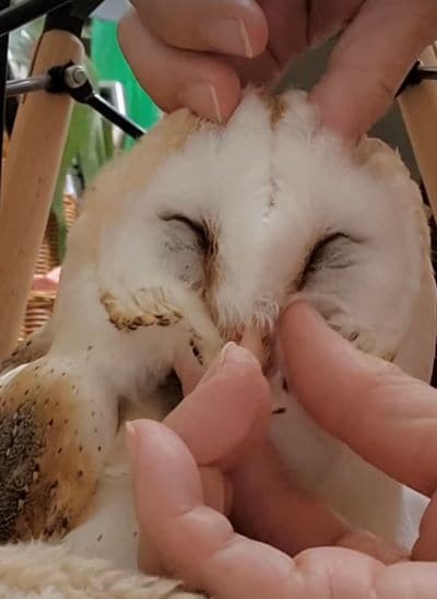 投稿動画のワンシーン
