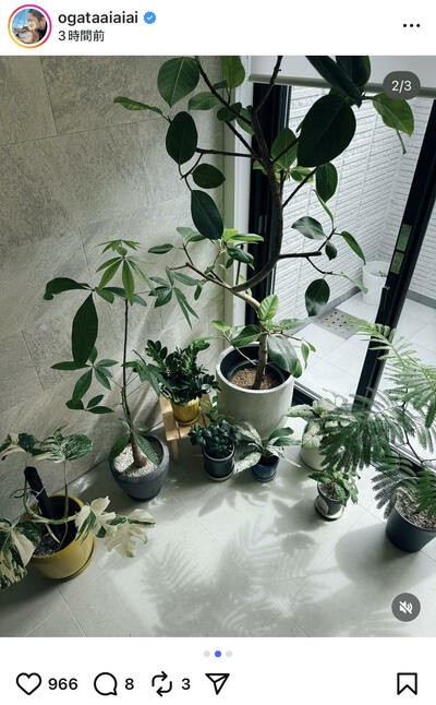 尾形あいさんのInstagram投稿