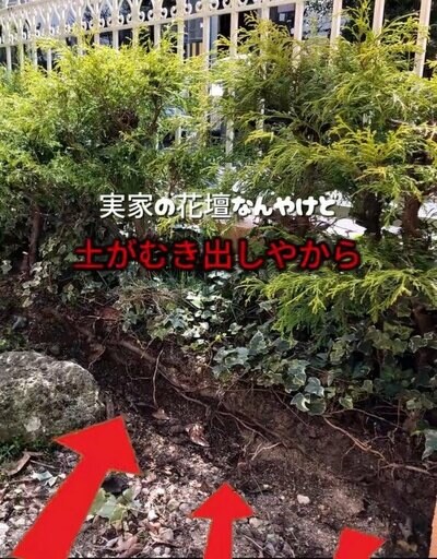 投稿動画のワンシーン