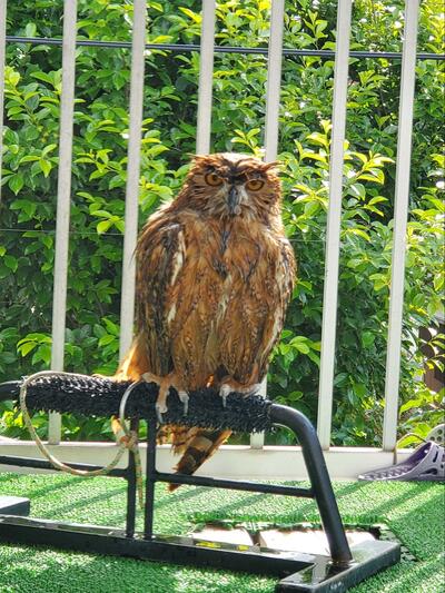 投稿動画のワンシーン