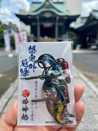 柏神社で授かった想定外厄除けお守り