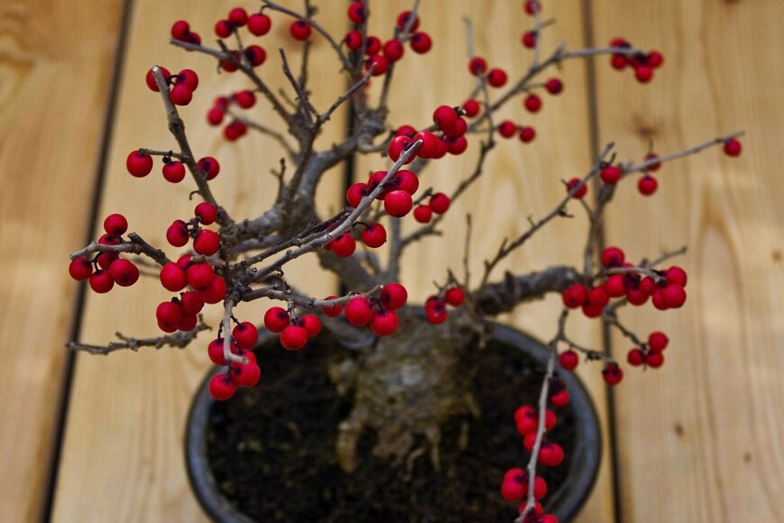 Skyprayer2005/Shutterstock.com