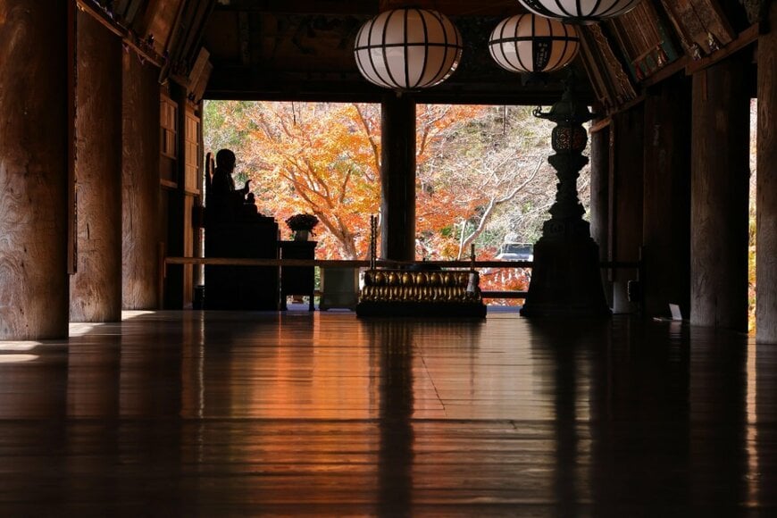 funboxphoto/shutterstock.com