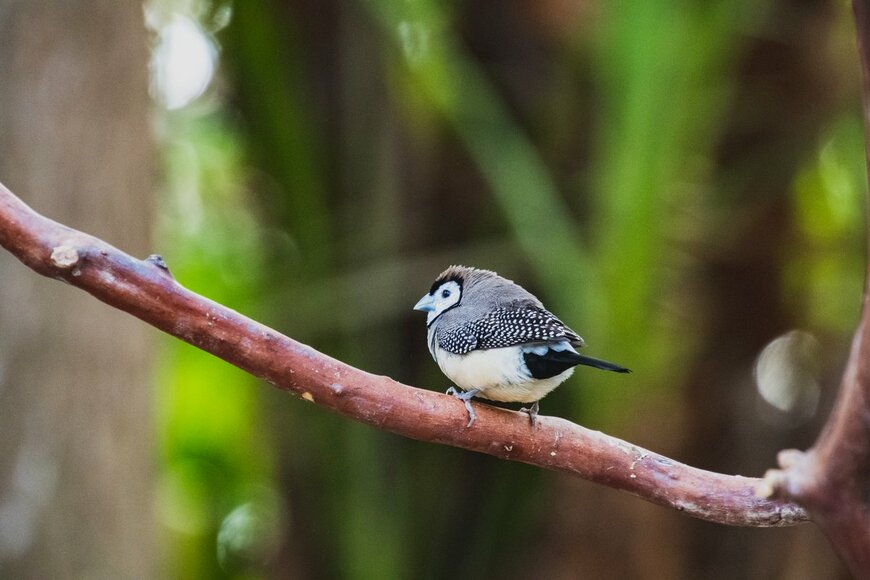 haseg77/shutterstock.com