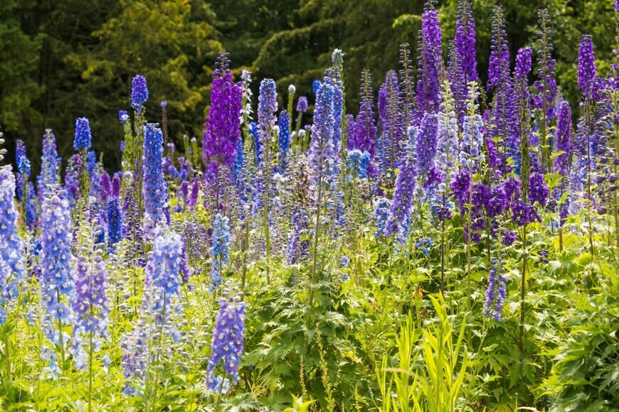 Andrew Fletcher/shutterstock.com