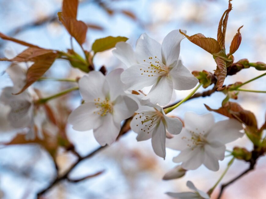 traction/shutterstock.com