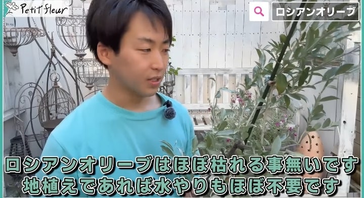 出所：@petit_fleur