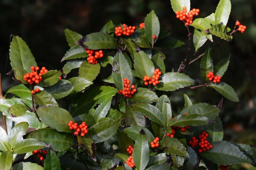 undefined undefined/istockphoto.com