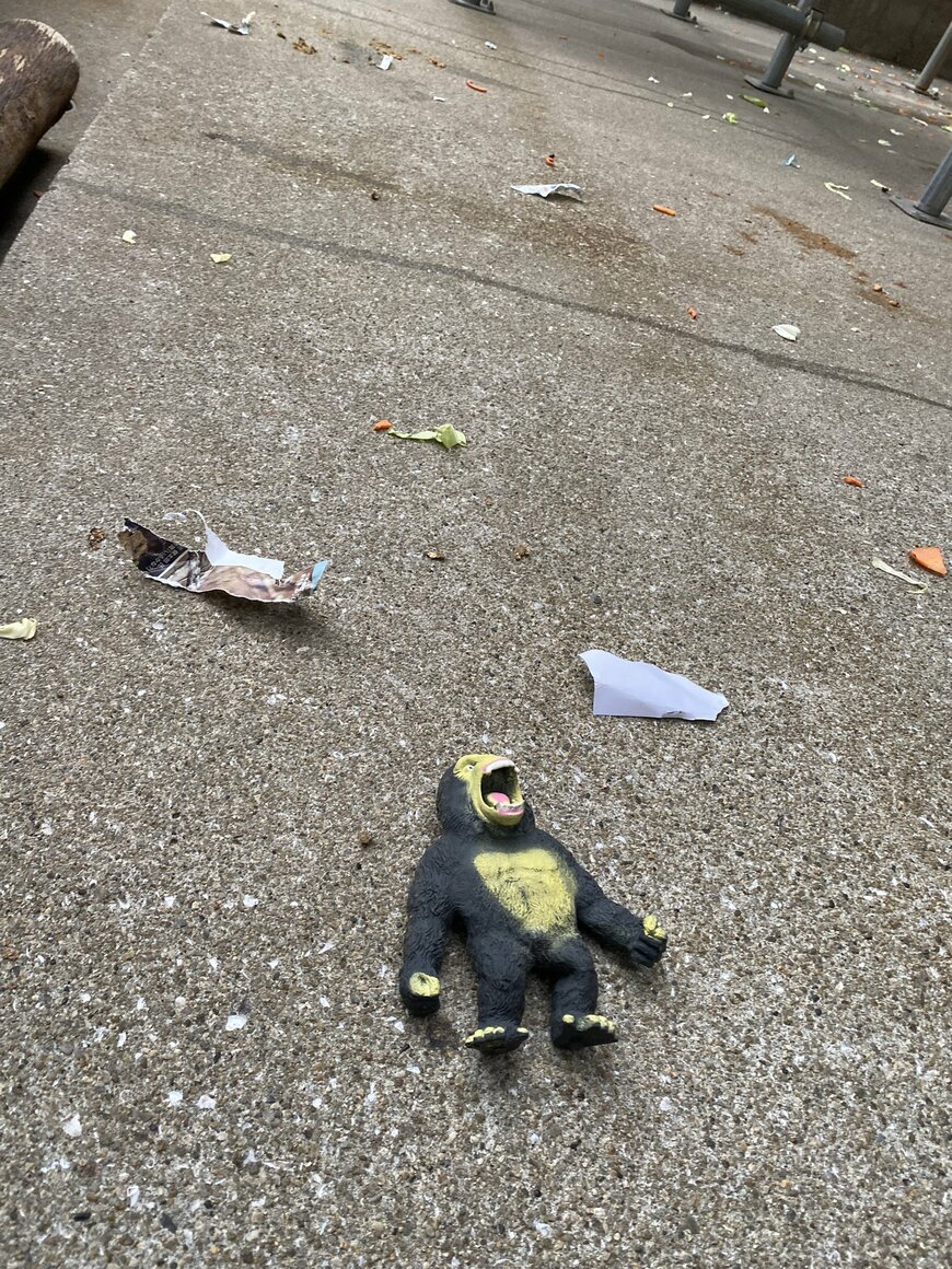 出所：池田動物園ツイッターアカウント