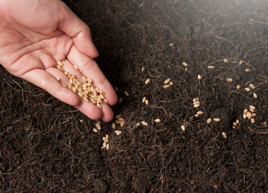 showcake/shutterstock.com