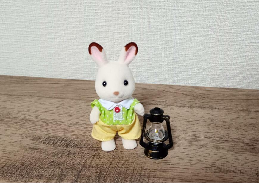 出所：筆者撮影（セリア、ミニチュアランタン）