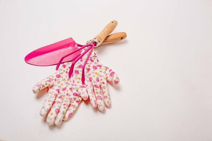 Kovtun Anastasiia/Shutterstock.com