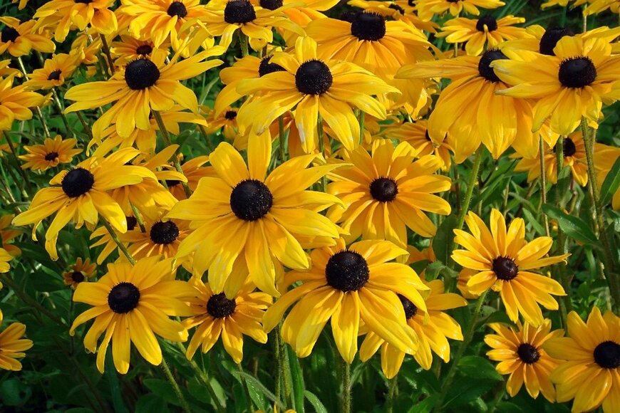 Svetlana Moskaleva/istockphoto.com