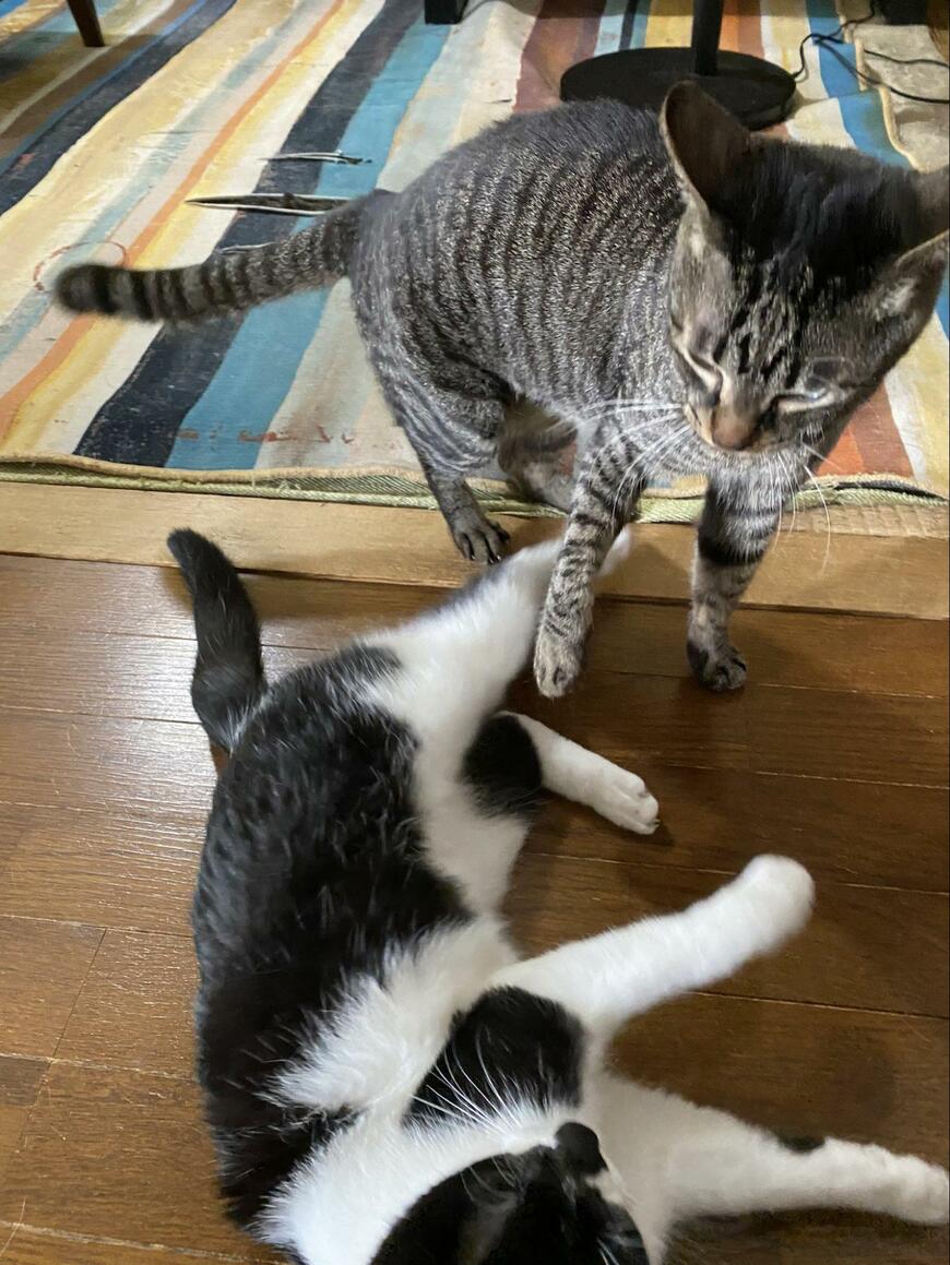 出所：@00shitemita