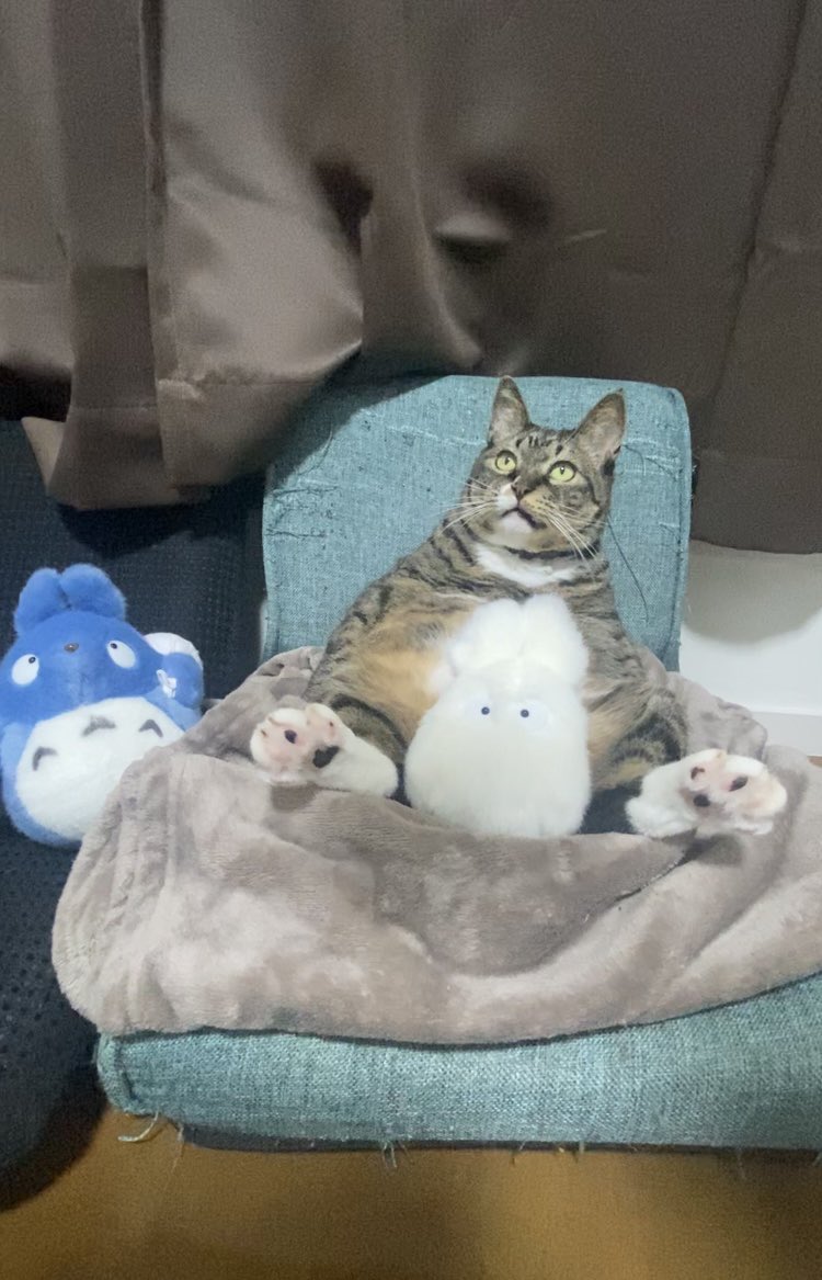 出所：@hahanekomei