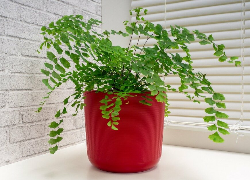 Zloyel/istockphoto.com