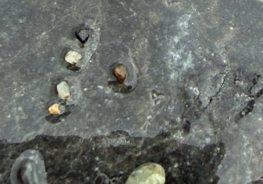 新潟県の海岸で発見した「謎の石」を思わず二度見！まさかの正体に「これはすごい」「めっちゃキレイ」