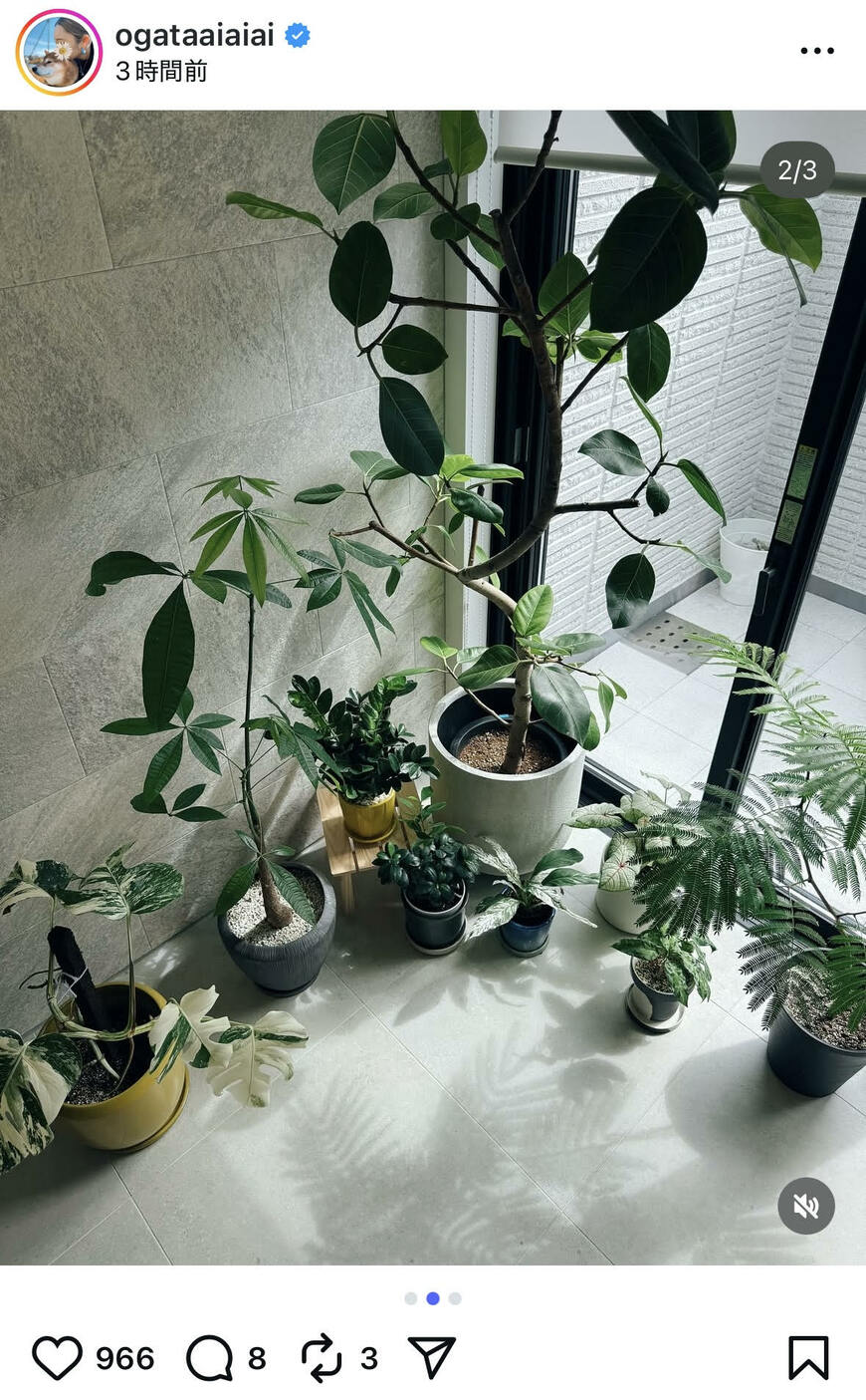 出所：尾形あいさんのInstagram（＠ogataaiaiai）　参照日：2025年10月7日