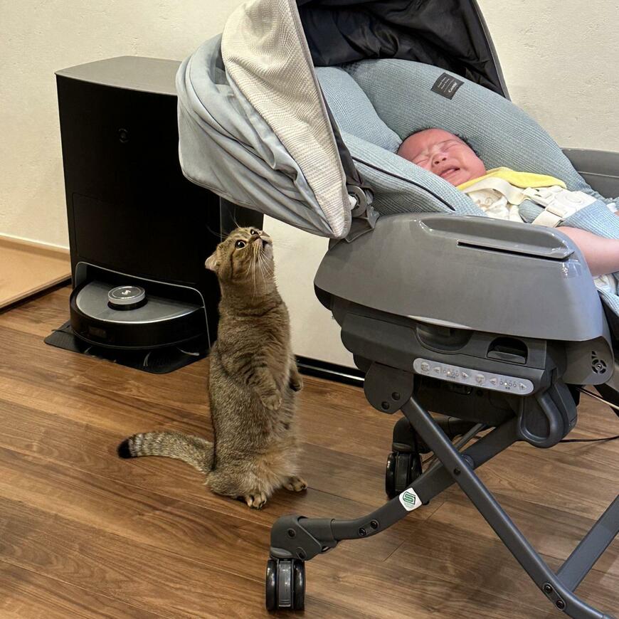 出所：@ponpokopontanu