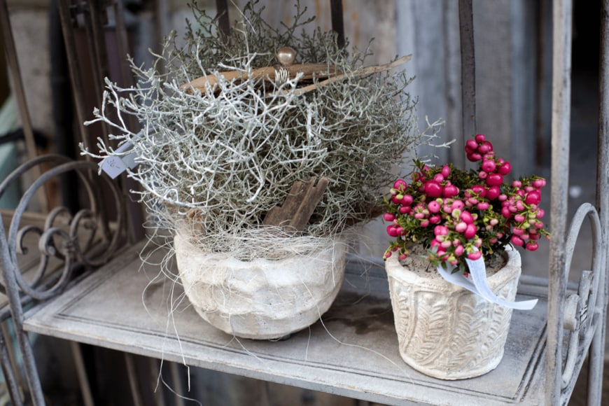 Diana Taliun/shutterstock.com