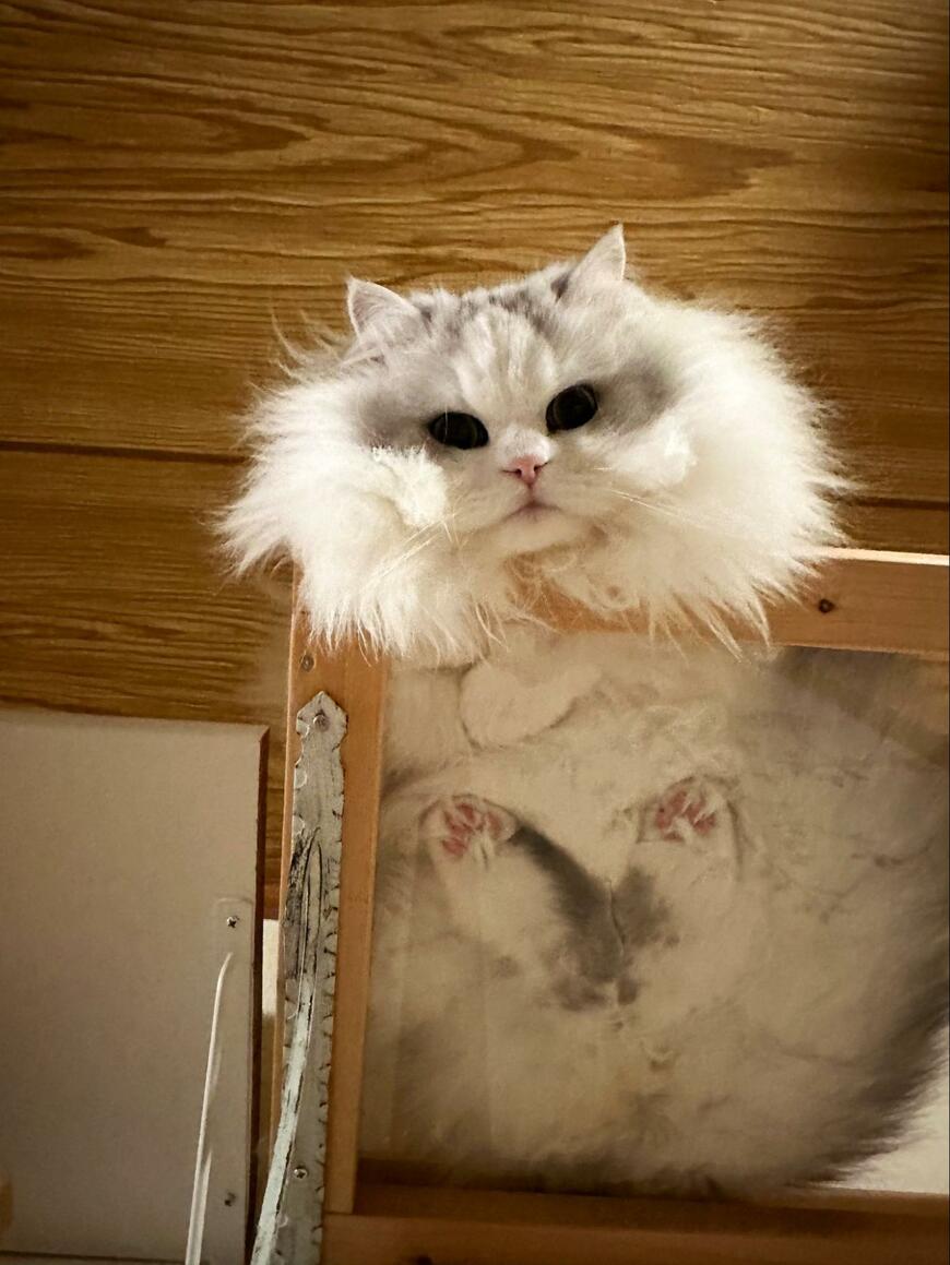 出所：@NEKOLAND13