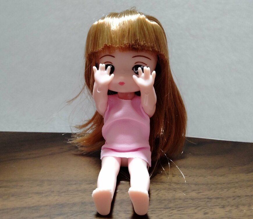 筆者撮影（ダイソー、着せ替えゆなちゃん ストレート）