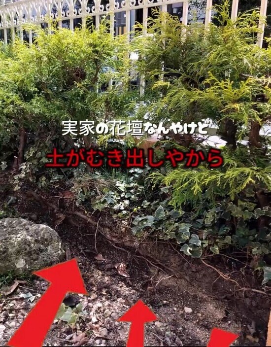 出所：＠big_chiyomarumama