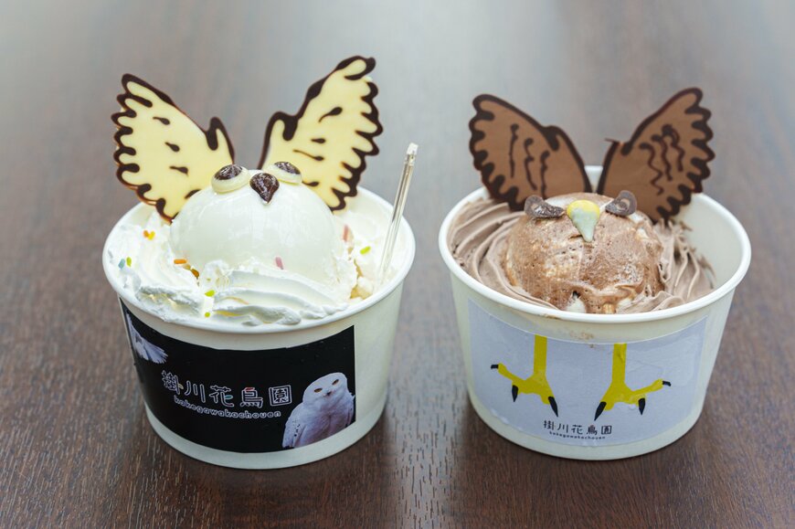 画像出所：シロフクロウと鷹デザインのアイス（イニシャルPR事務局）