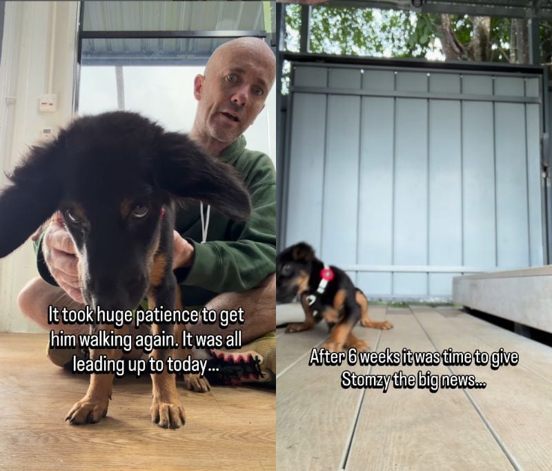 出所：@niall.harbison