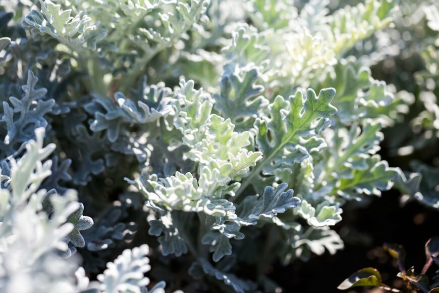 Greens and Blues/shutterstock.com