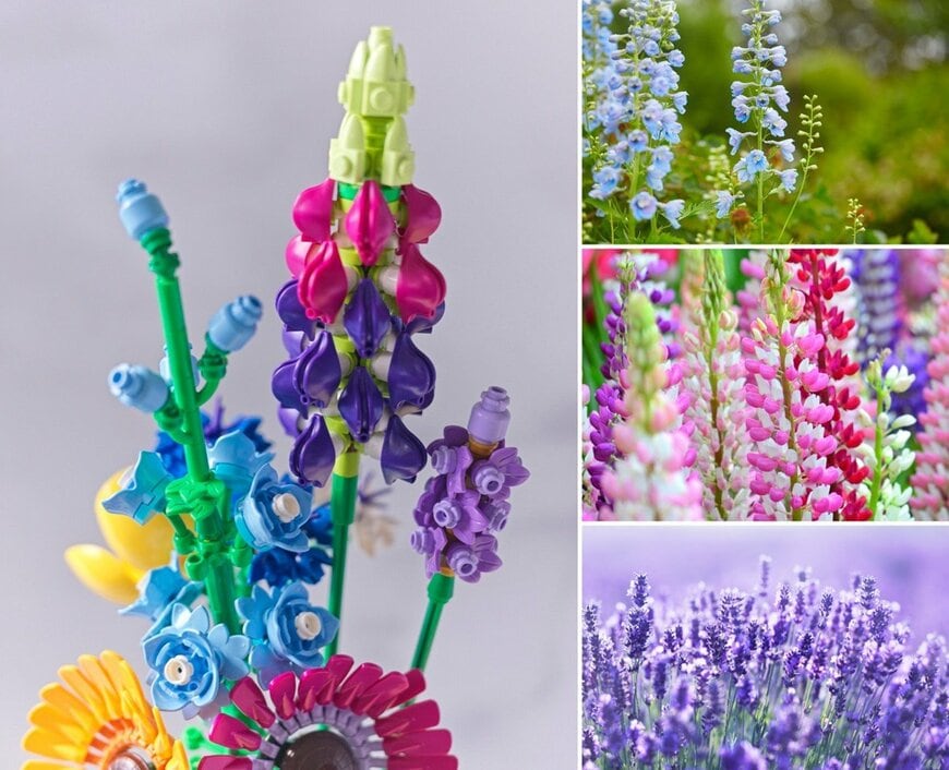 筆者撮影/Adobe Stock （Diana Taliun, masaandsaya, zea_lenanet）