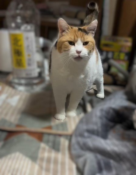 出所：@mike_noritama