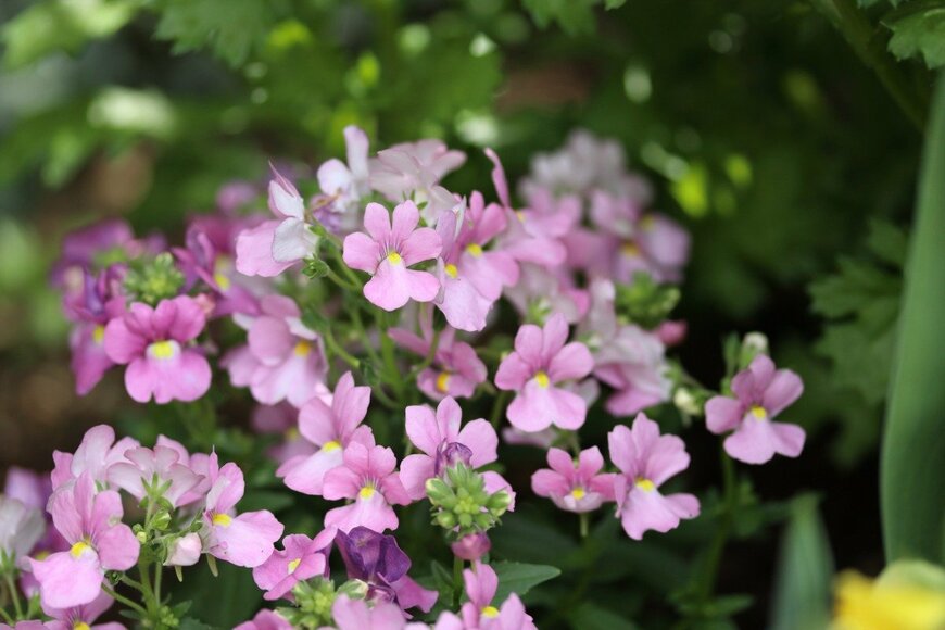 Hana-Photo/istockphoto.com