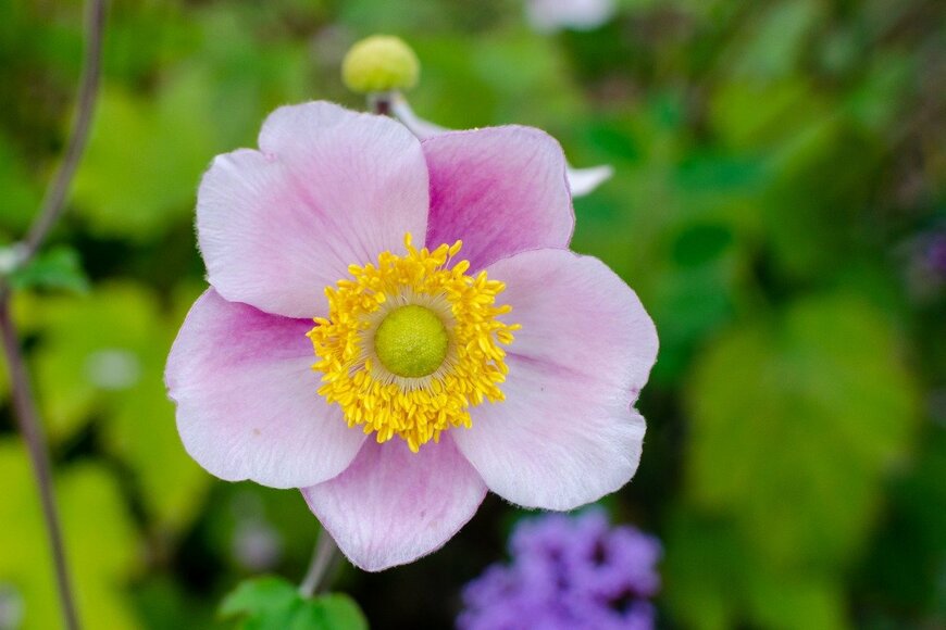 Annetka/istockphoto.com