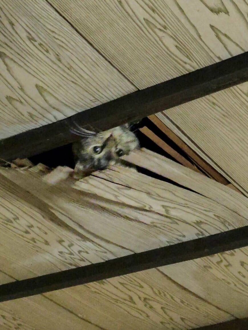 出所：@mi.sa.to0401