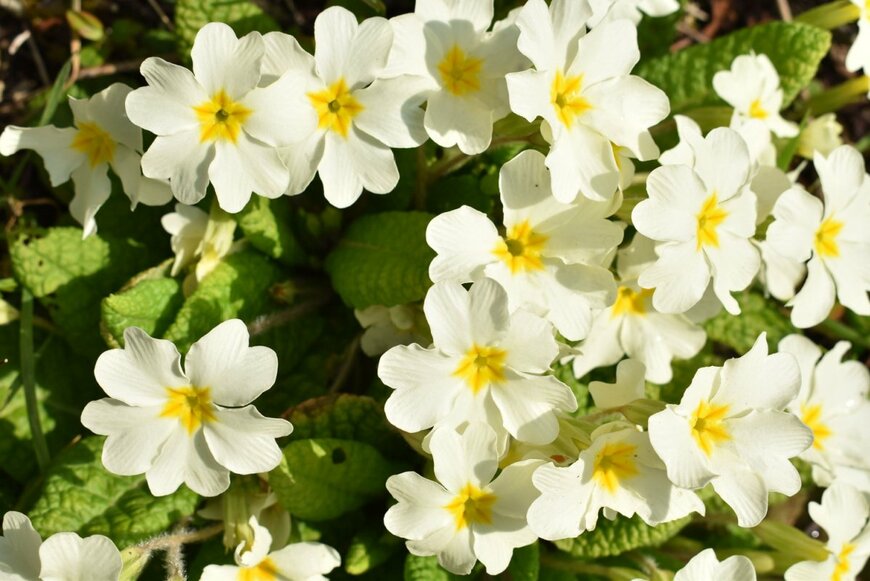 Cyrille Arroyo/shutterstock.com