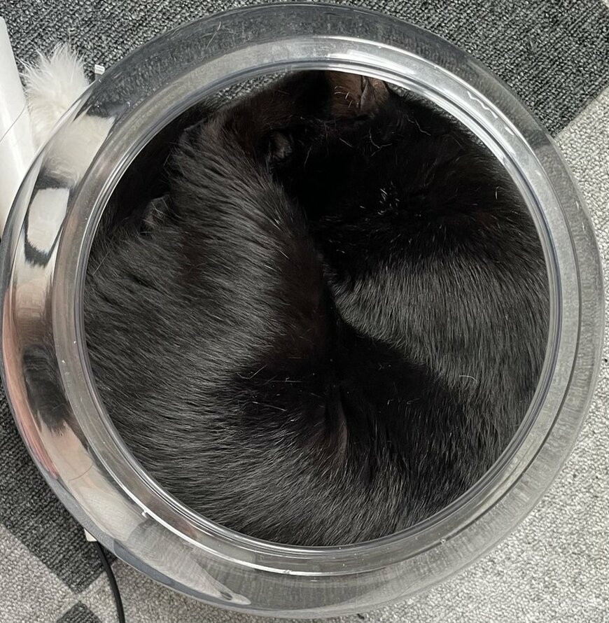 出所：＠Teagle_Noir